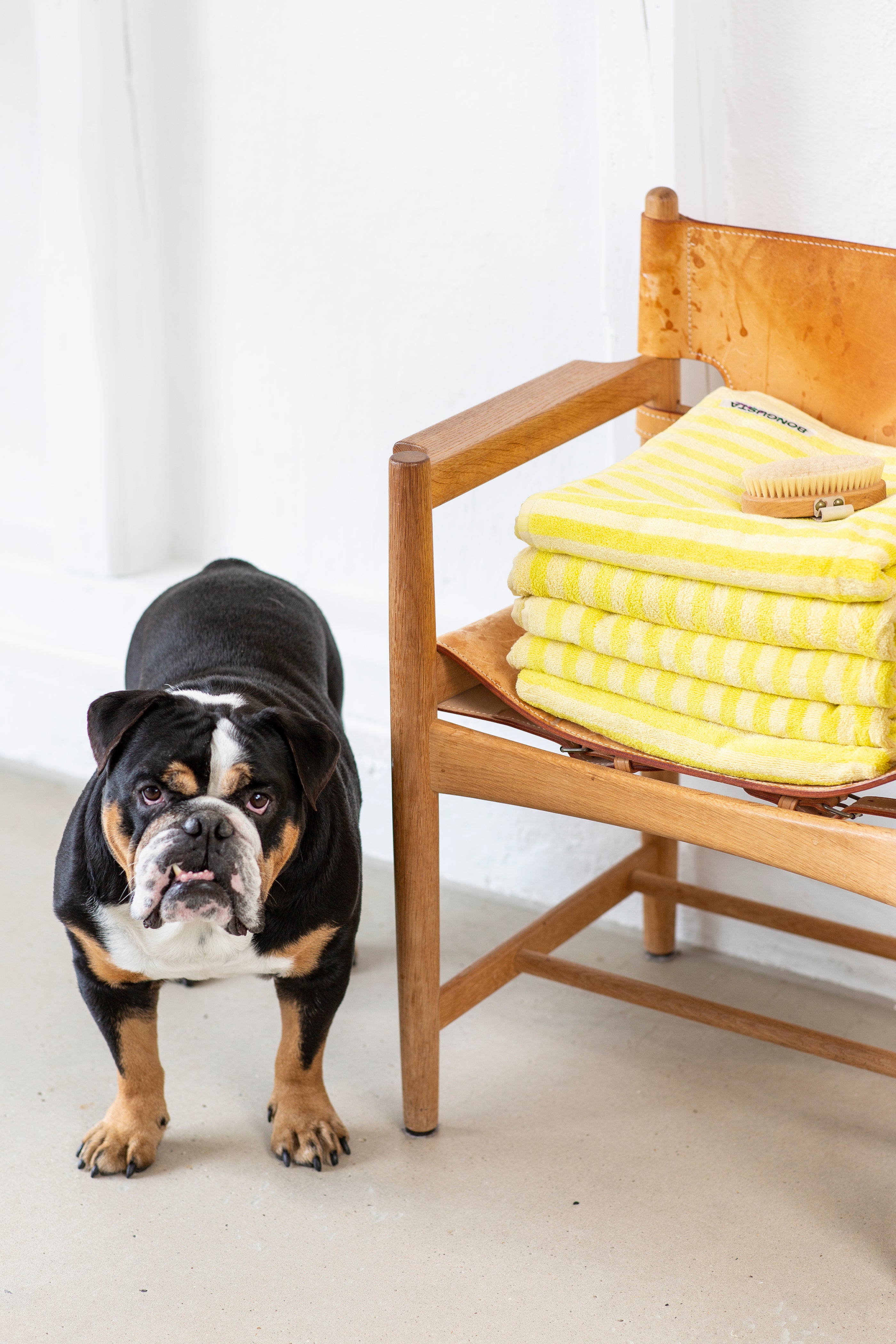 מגבת רחצה NARAM -  אפרסק צהוב