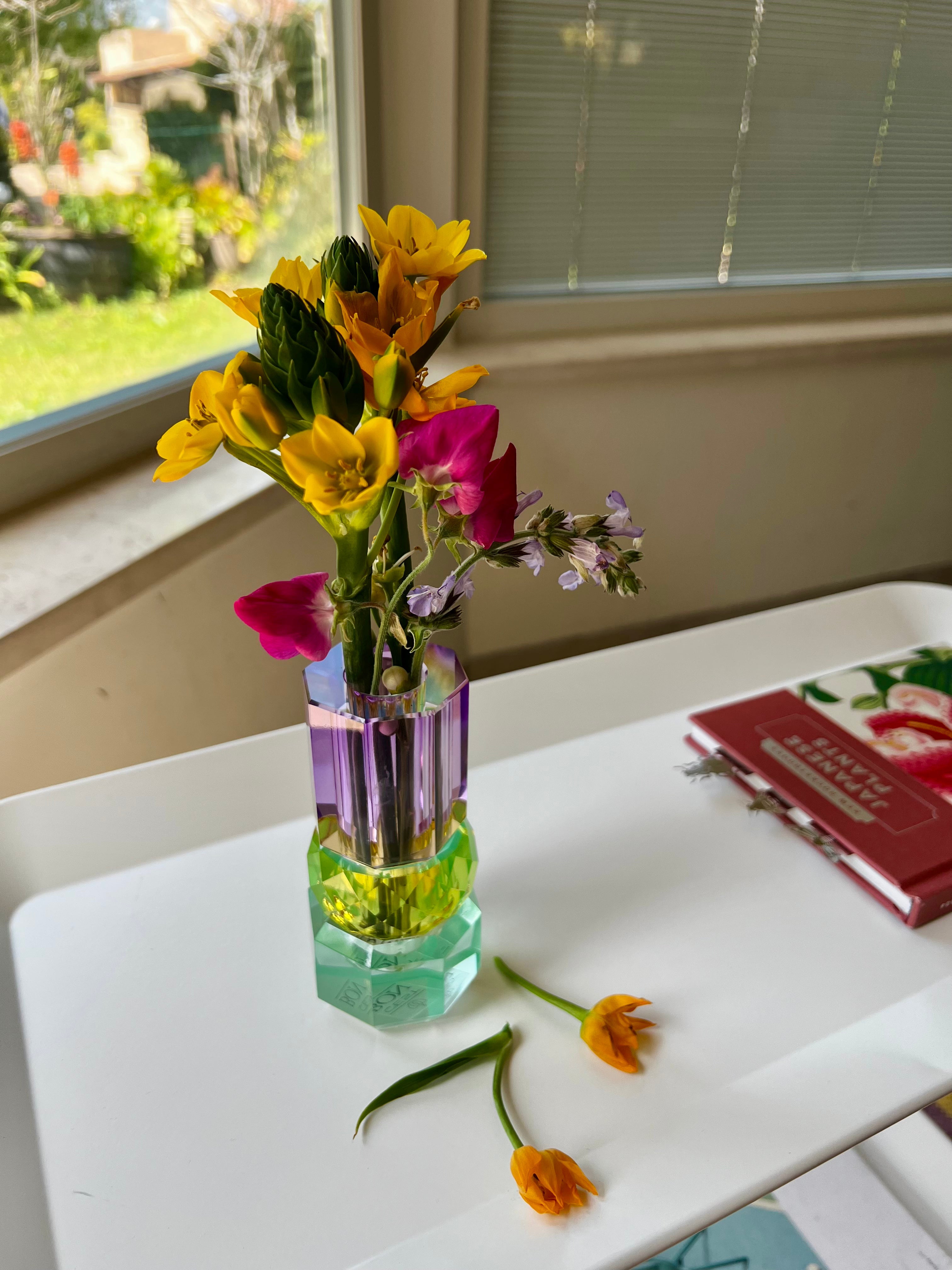 אגרטלים ,קנקנים ועציצים